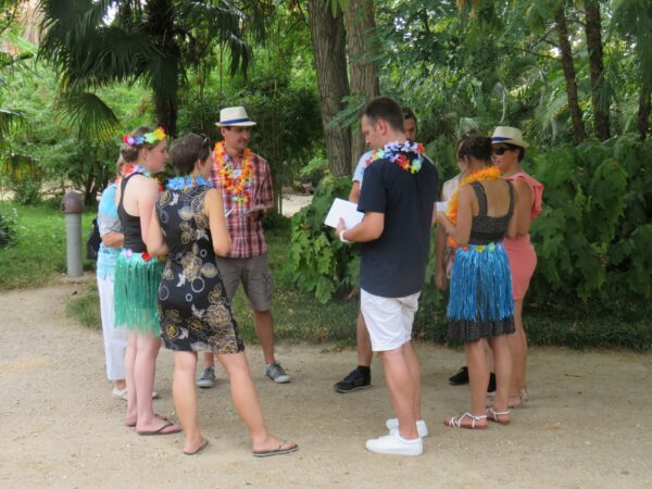 Crazy Hawaï (9-12) – Image 6